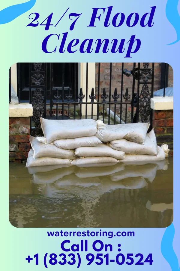 24/7 Flood Cleanup in Galva, IA