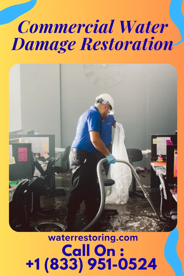 Commercial Water Damage Restoration in Galva, IA
