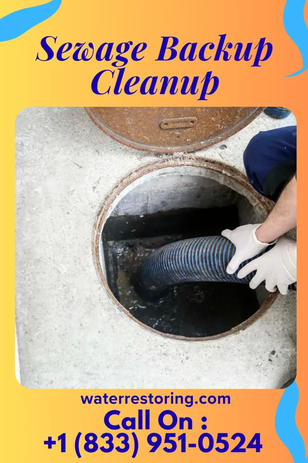Sewage Backup Cleanup in Galva, IA