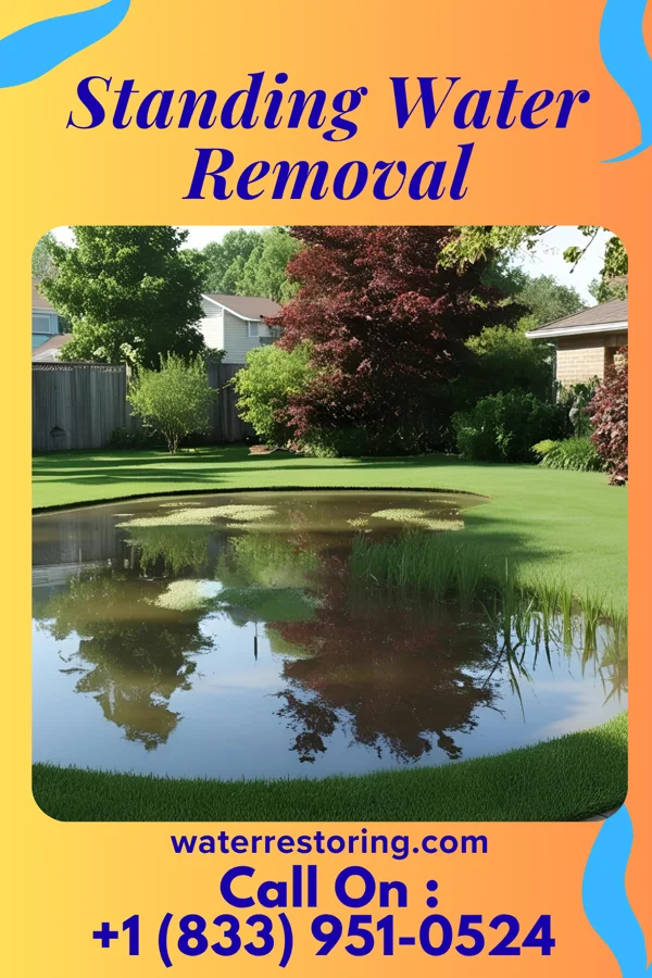 Standing Water Removal in Galva, IA